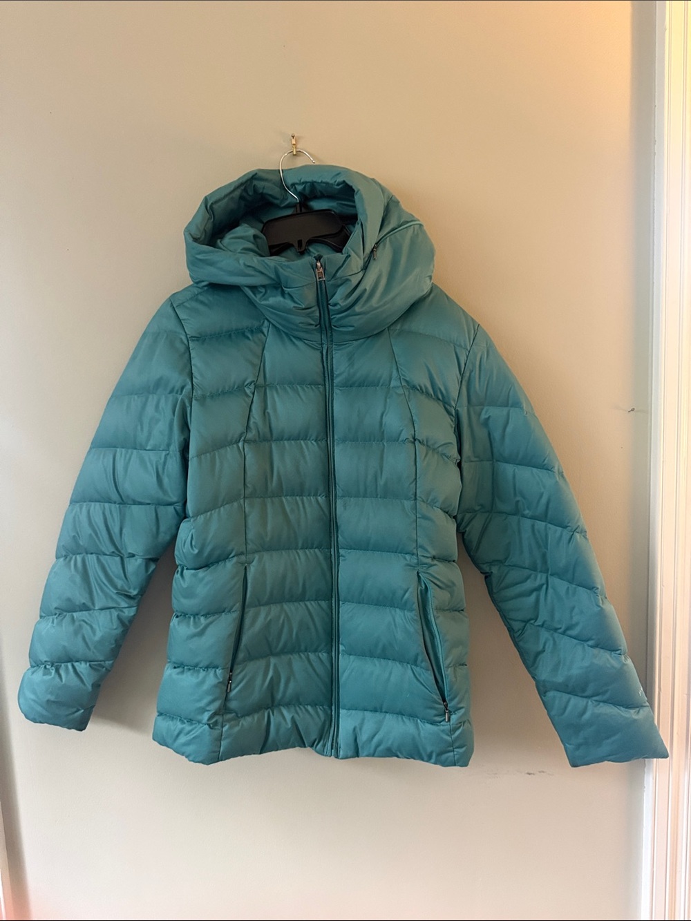 Patagonia Teal Hooded Puffer Jacket - Women's Insulated Coat